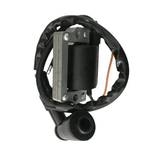 Bobine d'allumage scooter FS1 DT125 DT250 piece allumage moto