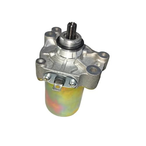Pièce de rechange démarreur pour moteur de karting Rotax 125 racing