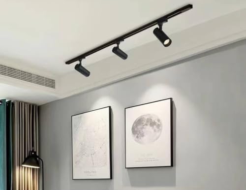 Spot LED de plafond pour rail monophasé salon et cuisine