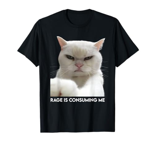 Rage Is Consuming Me Meme Cat Meme ȓ̃~[ W[N TVc