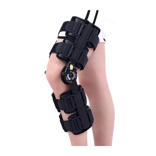 jpGu[XAqWtACLŒ葕uAOrthomenrOiAp񕜃v~AT|[gACA艻ÅǗAjpEpTCYFM[(C)