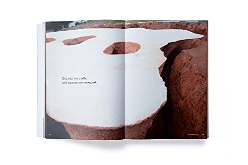 Junya Ishigami: Freeing Architecture