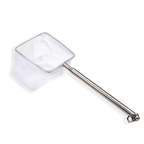 fKiZanthene Épuisette Aquarium Télescopique Carrée en Nylon avec Manche en Acier Inoxydable Filet Fin pour Poissons Crevettes et Débris