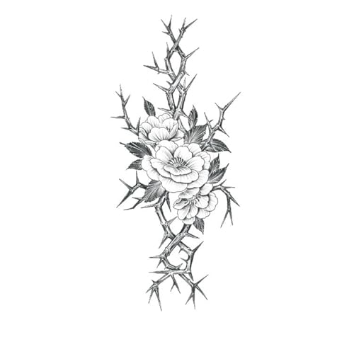 l̈ꎞIȓnA 5̃JtȍƔ̉Ԃ̃^gD[XebJ[AivIȃ^gD[p[eB[^gD[XebJ[AȊOρAh1?2TԎ(XQB-887)