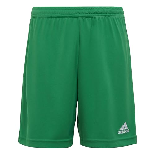 Adidas Mixte Enfant Entrada 22 Shorts, Team Green, 5-6 Years