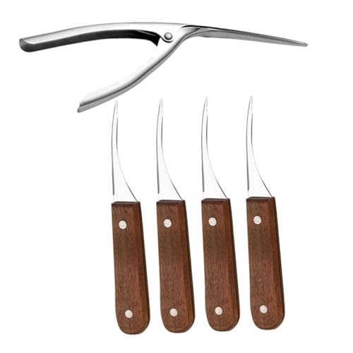 LAPYAPPE 1 Set Stainless Shrimp Opener Shrimp Deveiner Tool with Handled Scissors Shell Claw Simple Design and Deveining