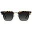 Blaze Tortoise / Gradient Black Lens