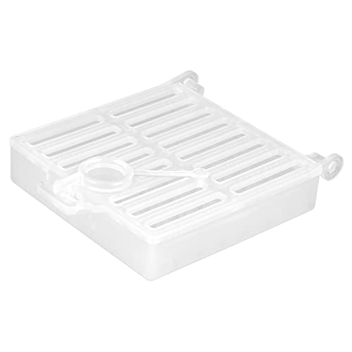 Cryfokt Queen Bee Cage, 5 Pezzi Multifunzionale