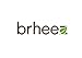 brheez Palm Leaf Disposable Bamboo Style 7