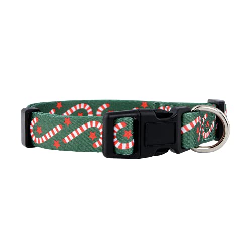 Native Pup Christmas Dog Collar- Winter Holiday Collars for Pets- Xmas Gift for Puppy- Santa, Reindeer, Snowman, Candy Cane, Red Green- Girl Boy- Small, Medium, Large Breeds (Candy Cane, Small)