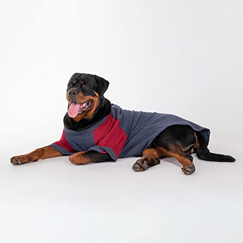 Image of Heads Up For Tails cotton Sweatshirt For Dogs (XS, Blue Melange and Red), 1 count