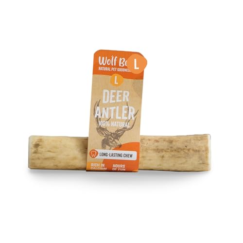 Wolf Belly - Corno di Cervo per Cani (Taglia L) | Masticativi Naturali e Resistenti | Riduce Tartaro e Placca | Ricco di Calcio e Proteine | Allevia Stress e Ansia - Prodotto in Europa