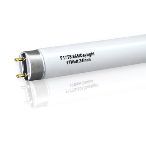 Ignixlite 12 Pack 17W 24in T8 Bright White Fluorescent Tube, F17T8/865 6500K Daylight,2 Foot T8 Linear Fluorescent Lamp,Medium Bi-Pin (G13) Base,1350 Lumens by Ignixlite - Image 6
