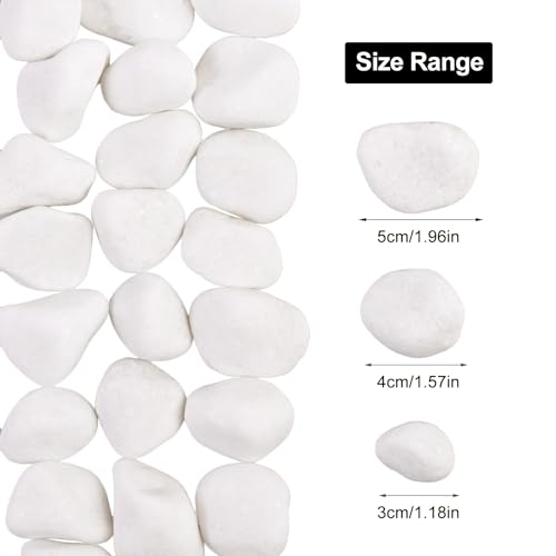 Image of 20Ib Snow White River Rock-Decorative Stones-Pebbles for Indoor Plants-Rocks for Outdoor Landscaping 1-2 inch High Polished Stones for Aquarium, Home Decor,Garden Decor