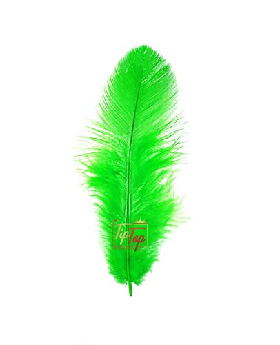 Image of Natural Dyed Feathers 10 cm (80 pieces) (Light Green)