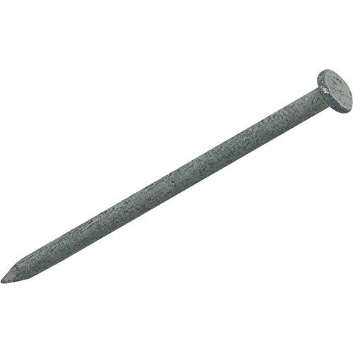 Clavo común galvanizado en caliente Do it 1 Lb. 4D cabeza plana miniatura 1