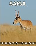 saiga antilope zoo  Saiga Photobook: 40 Pictures of Medium-Sized Hoofed Mammal Photography  Decor Room, Home, Office  Birthday Gifts  Any Occasion  To Stress Relief