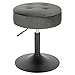WOLTU Sgabello Piccolo da Bar in Velluto e Metallo, Sedia da Pranzo con Vano Portaoggetti, Sgabello Rotondo Girevole, Altezza Regolabile tra 49,5-65cm, Grigio Scuro BH329dgr-1