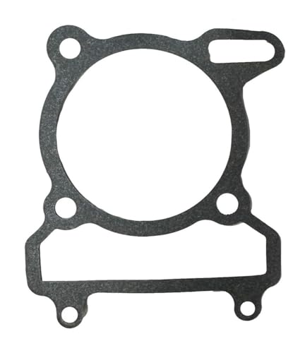 FS300 FA-D300 G300 H300 ATV ���i 2.1.01.0411 �p�G���W�� �V�����_�[ �u���b�N �K�X�P�b�g(Cylinder Gasket)