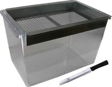 菌糸ブロック崩し 菌糸ブロック崩し