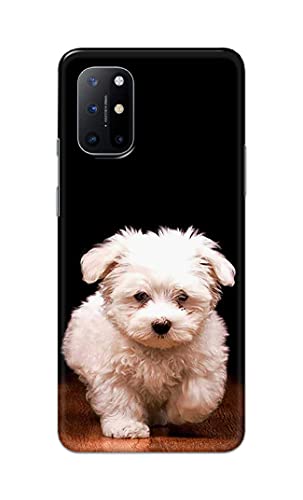 Image of PRINTFIDAA� Printed Hard Back Cover Case for OnePlus 8T | OnePlus 8T+ 5G Back Cover (Puppy Dog) -2808