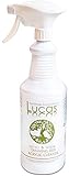 Lucas Acrylic and Plastic Cleaner, 32 Ounce