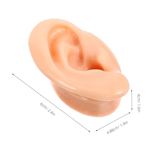 Modèles oreilles silicone de pratique pour perçage et démonstration de bijoux