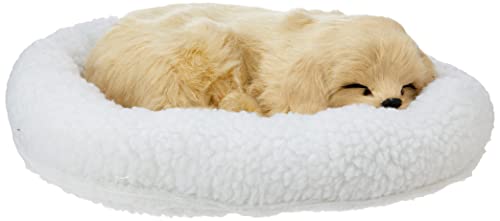 Chalesco Golden Retriever Para Cães