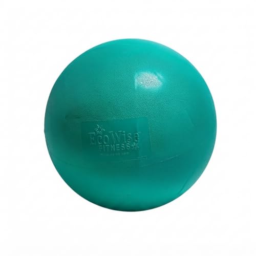 EcoWise Premium Fitness Ball 55cm- Honeydew