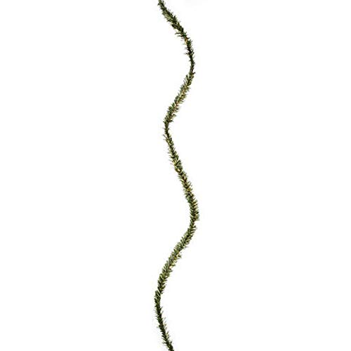 Darice Canadian Pine Rope, One Size, Green