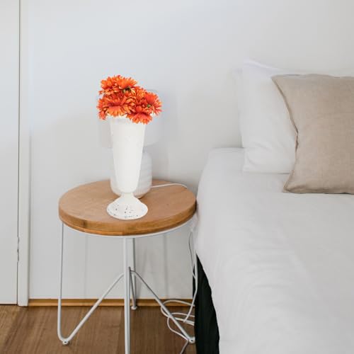Maceta de hierro minkissy ideal como centro de mesa decorativo 6