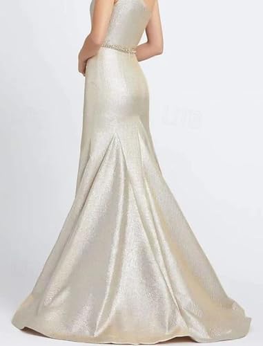 Mermaid/Trumpet Sexy Elegant Prom Dress One Shoulder Floor Length Sleeveless Formal Evening Dress Glittering 20243