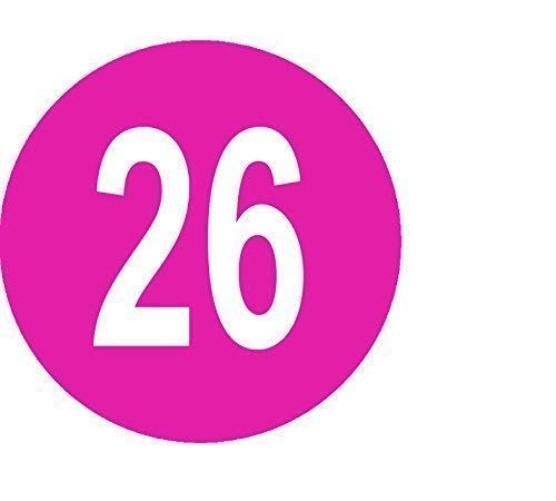 Pack of 100 Ladies Dress/Garment Size Stickers/Sticky Labels (Pink 26)