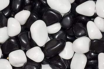 Polished Black & White Pebbles Premium Stone Home Decorative Marbles - 1 Kg-image-49