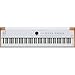 Arturia Astrolab 88 Avant-Garde Stage Keyboard with Analog Lab Pro Integration Bundle with Arturia Wooden Legs for KeyLab 88 MkII and PolyBrute — Adjustable, Sturdy and Elegant Stand