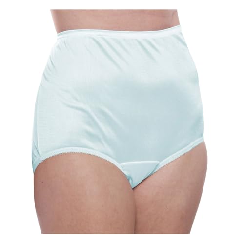 Image of Teri Women's 331 Plain Jane Classic Nylon Silky-Smooth Lightweight Breathable Full Coverage Brief Panty - 4 Pack