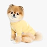 Its Dog & Kangachi - Sudadera para Perro 100% Algodón, Diseño Abrázame, Sudadera para Perros o Gatos Pequeños, Ropa Perro Cálida, Transpirable y Antialérgico, Made in Korea, Amarillo M