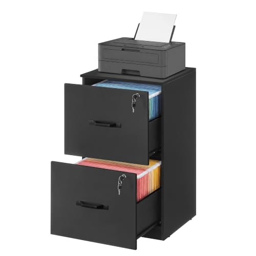 Image of VASAGLE 2 Drawer File Cabinet with Locks, for A4, Letter Sized Documents