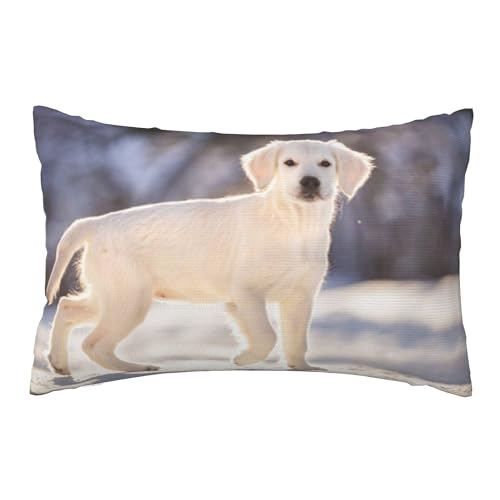 ʃvbVJo[A_炩ȁA20x30C`Axbh\t@ɍœKi炵S[fgo[̎qA~̐̓̐Ԃj