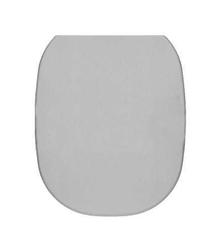 Pozzi Ginori 500 Sedile in Termoindurente