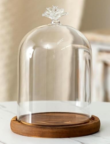 Tuyiutm �A���e�B�[�N�E�b�h�̑�����t���������K���X�h�[���^�u�[�P�{�b�N�X�B�L�����h���z���_�[�B���a12cm�A����16cm�B�����K���X�J�o�[�t���B�嗝�΂̑�����t�����a���̍���t���L�����h���B�Q���A�C���e���A�A�h���C�t�����[�A�V�i�����A�ƒ�p�A�N���X