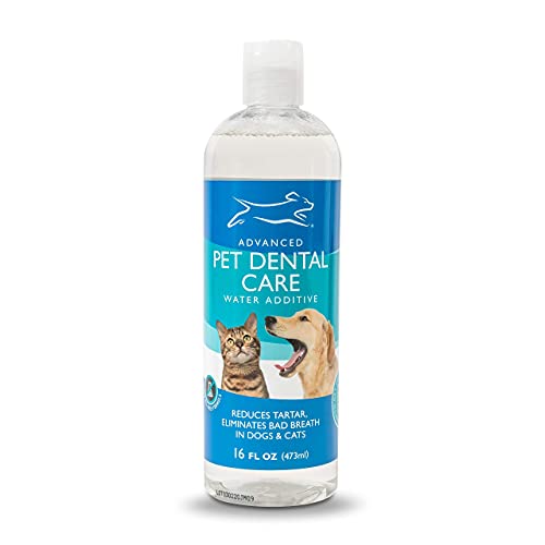 Find The Best Dental Liquid For Dogs Reviews & Comparison Katynel