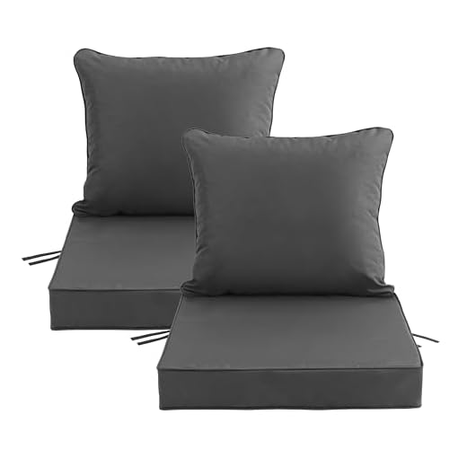 22-Inch Outdoor Chair Cushion Set of 2