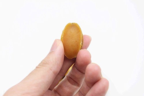 Dried Seafood Dried Mini-Sized Dalian Abalone 袖珍小鮑魚 Free International Airmail #TOP4