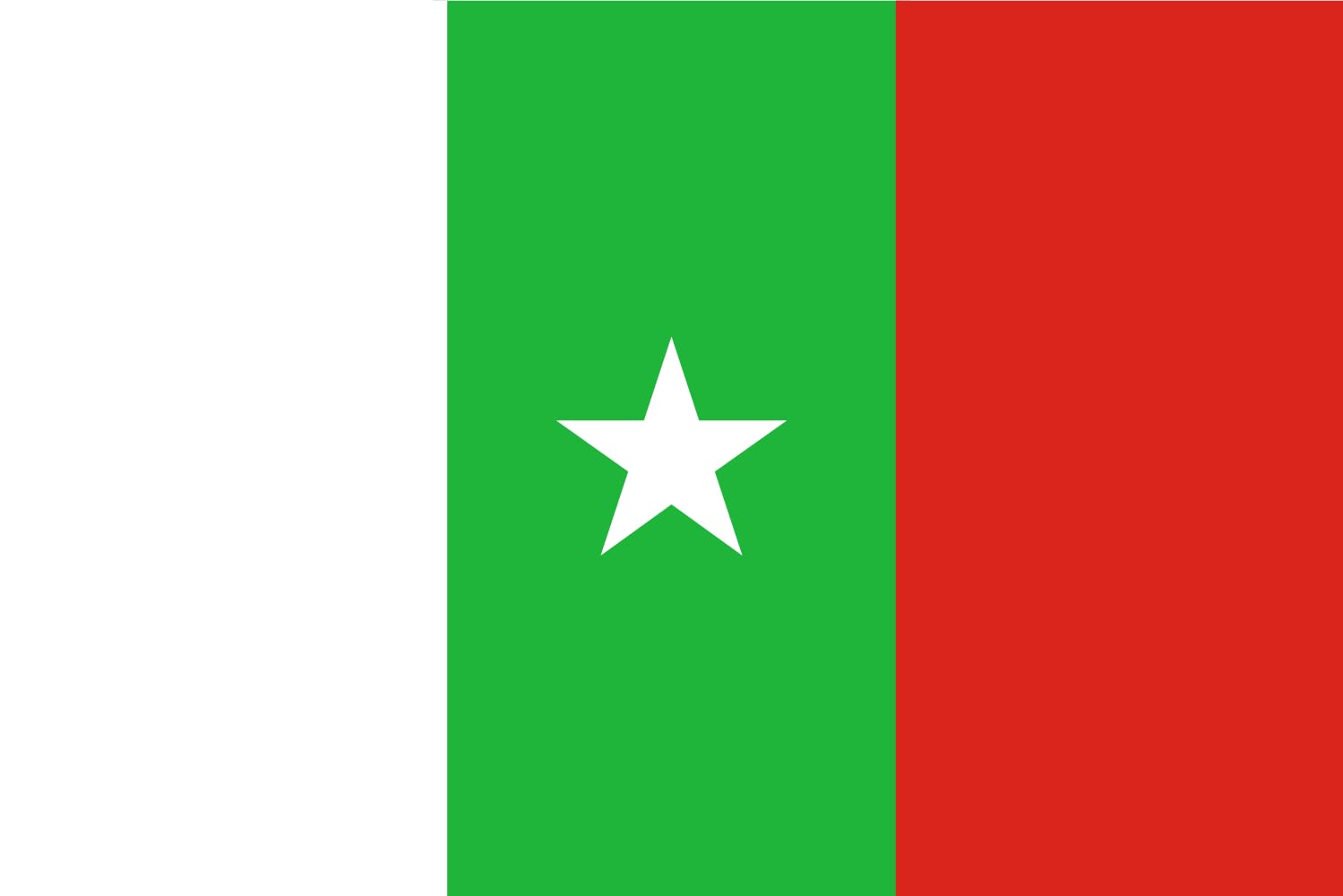 Drapeau XL Casamance MFDC idéal pour vos défilés et salons culturels