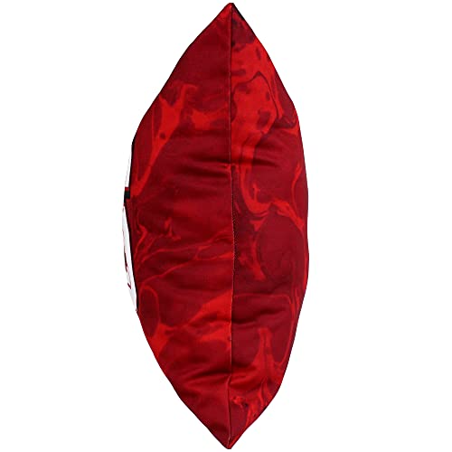Image of NC State Wolfpack 2 Sided Color Swept Decorative Pillow, 16 inch, Made in The USA