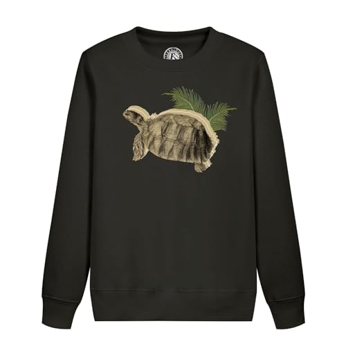 Sweatshirt enfant tortue tropique en coton style biologie ancienne