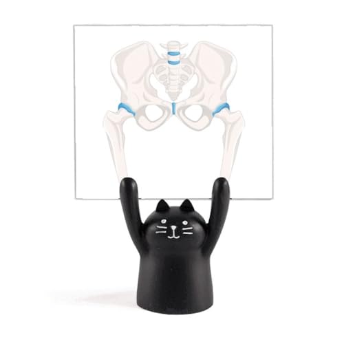 Chat Noir Porte-Mémo Hanche Pelvienne Idée Cadeau Cabinet Médical