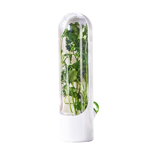 CTForest Cajón para Verduras para Guardar Verduras，Cajón para Verduras