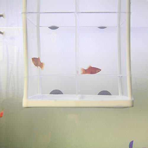 Senzeal Aquarium Fish Breeder Box Fish Fry Hatchery Incubator Net Nylon Isolation Mesh with 3pcs Pipette(Small) - Image 8